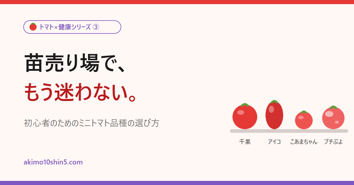 苗売り場で迷わない。初心者のためのミニトマト品種の選び方